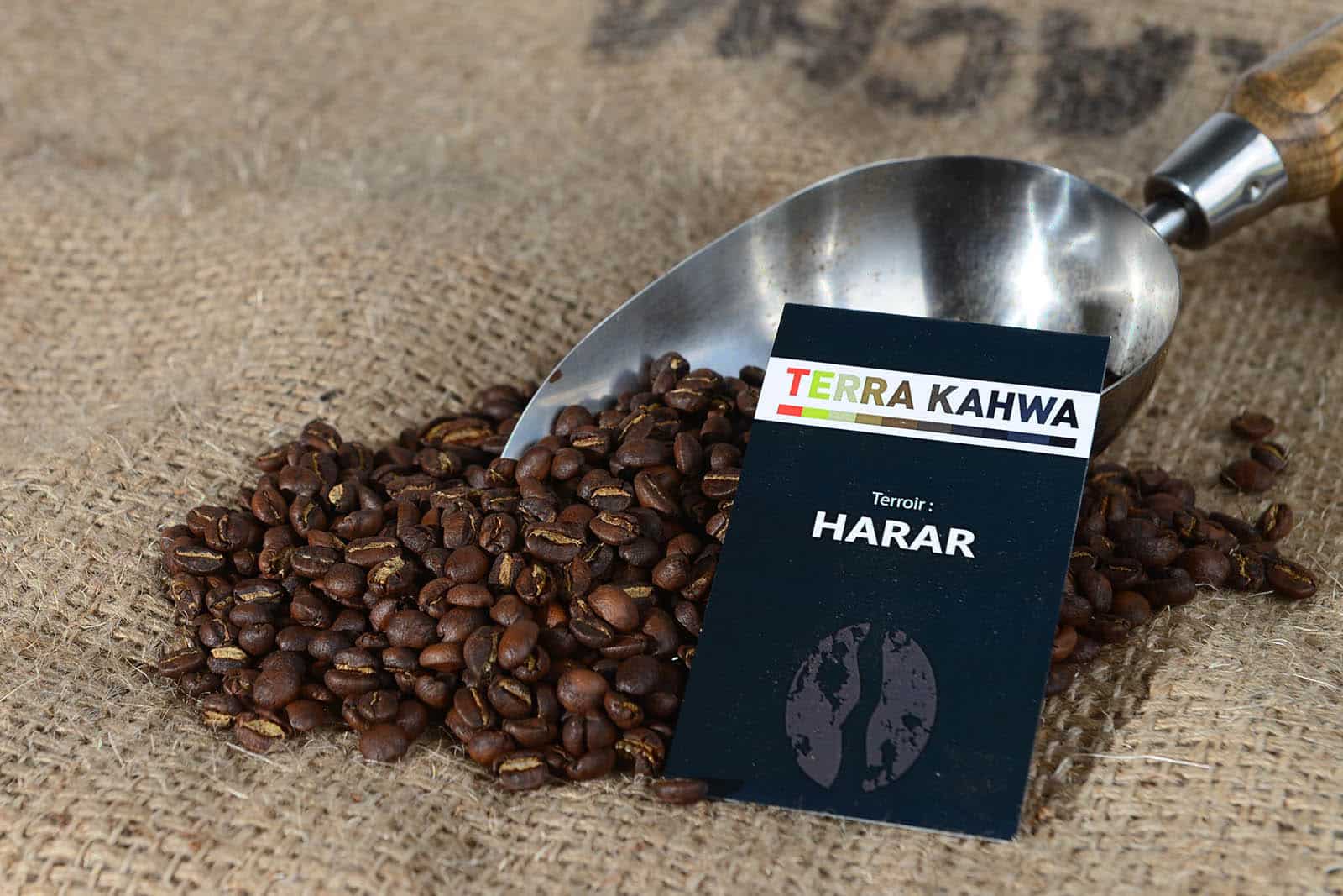 cafe torrefie harar cafe d ethiopie origine certifiee terra kahwa 500g terra kahwa
