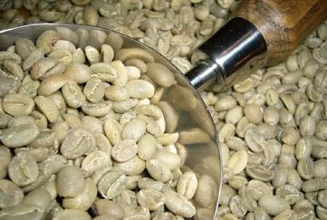 Achat En Ligne Café Vert TERRA KAHWA