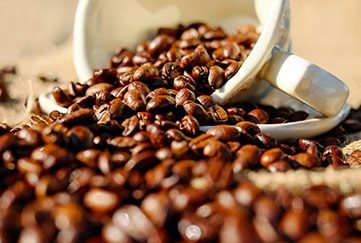 Cafés Torréfiés TERRA KAHWA